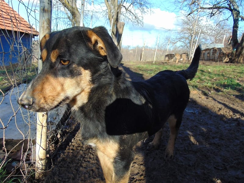 BLACKY - hofft auf tolle Menschen