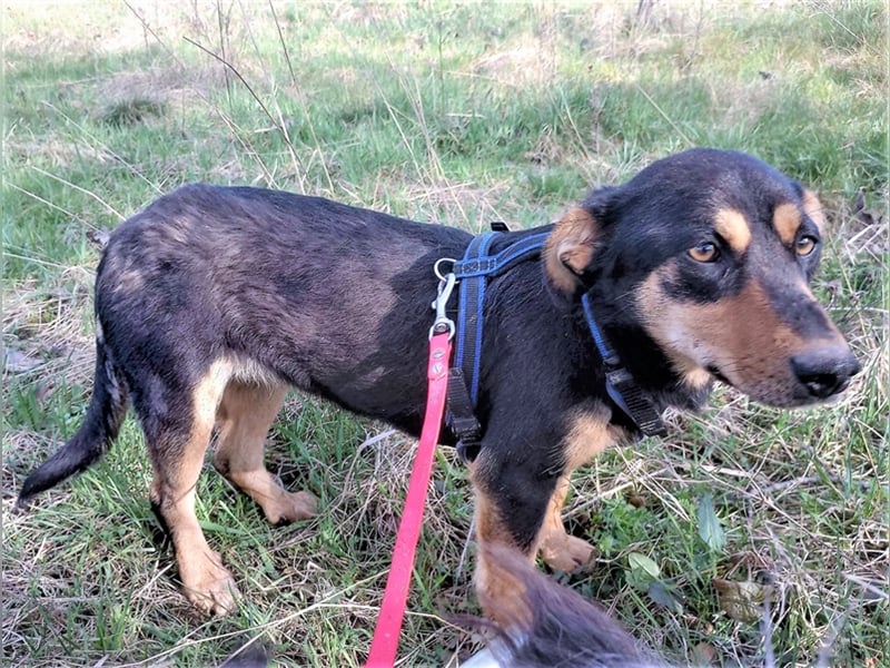 BLACKY - hofft auf tolle Menschen