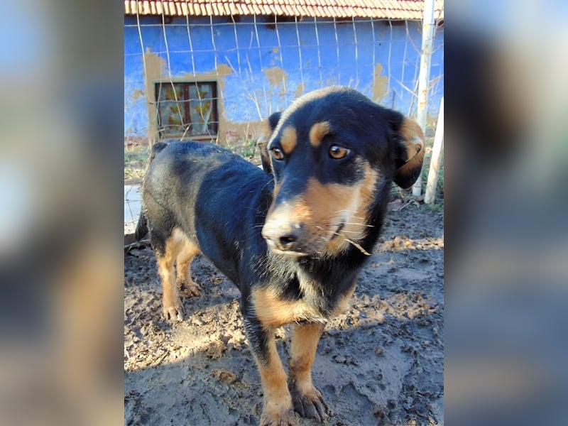 BLACKY - hofft auf tolle Menschen