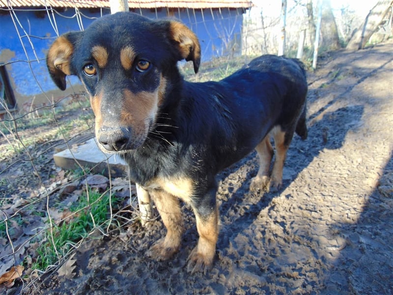 BLACKY - hofft auf tolle Menschen