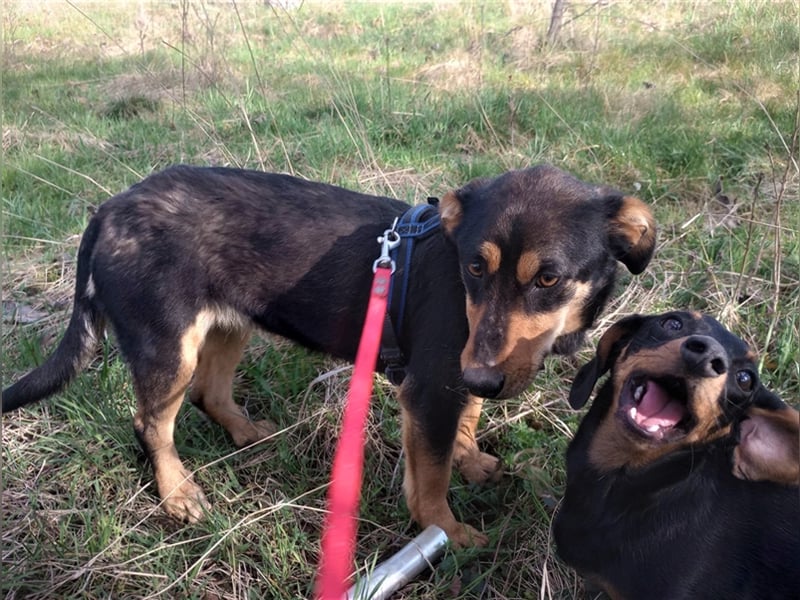 BLACKY - hofft auf tolle Menschen