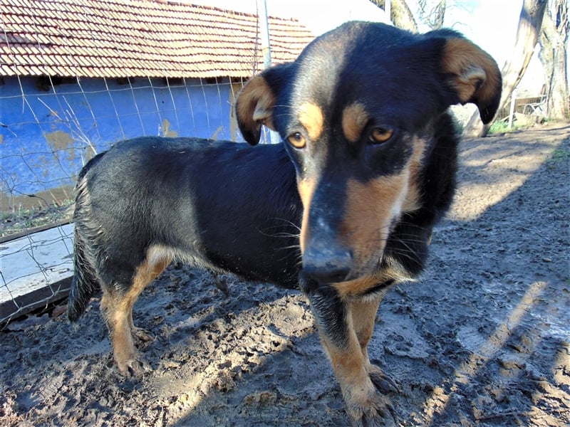 BLACKY - hofft auf tolle Menschen