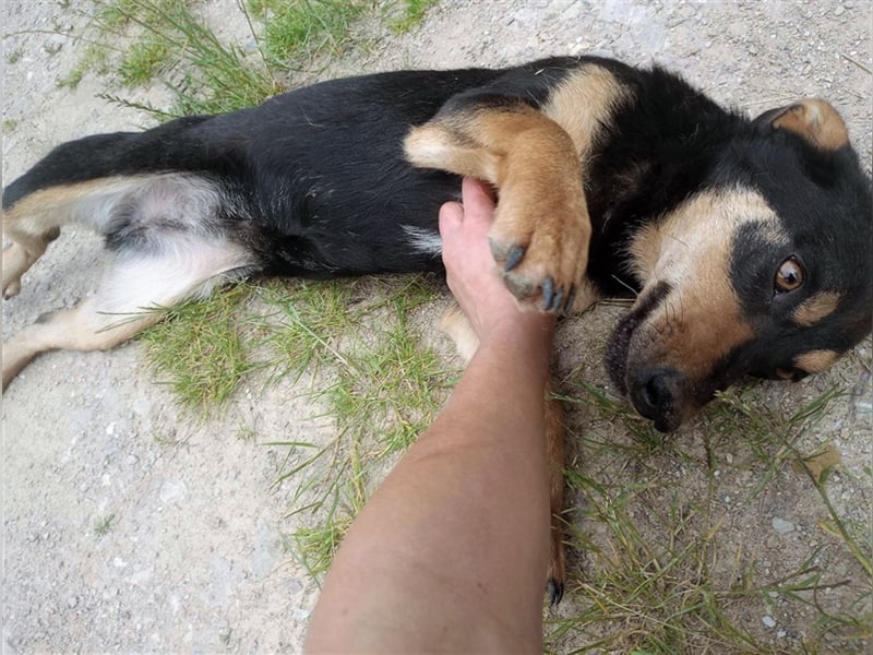 BLACKY - hofft auf tolle Menschen