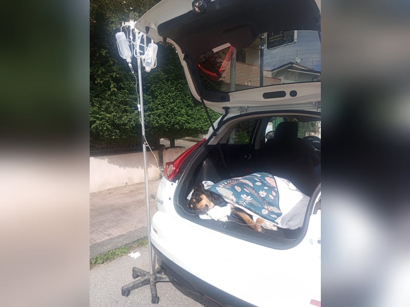 Emy: „Jetzt muß es um mich gehen!“