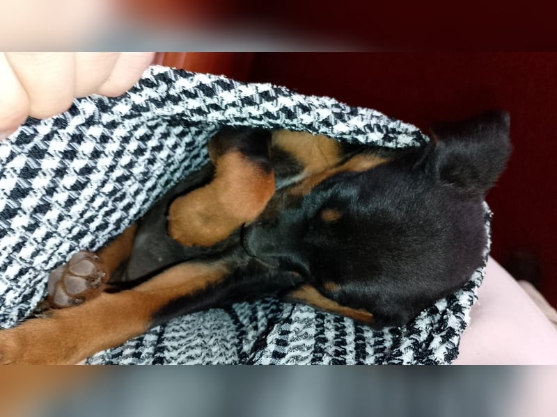 Nora: „Bekomme ich eine wirklich eigene Familie?“