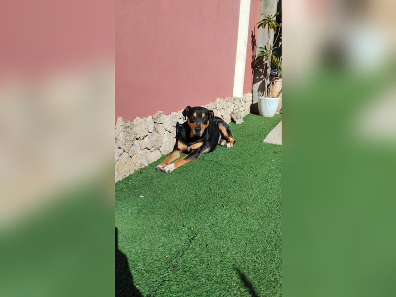 Emy: „Jetzt muß es um mich gehen!“