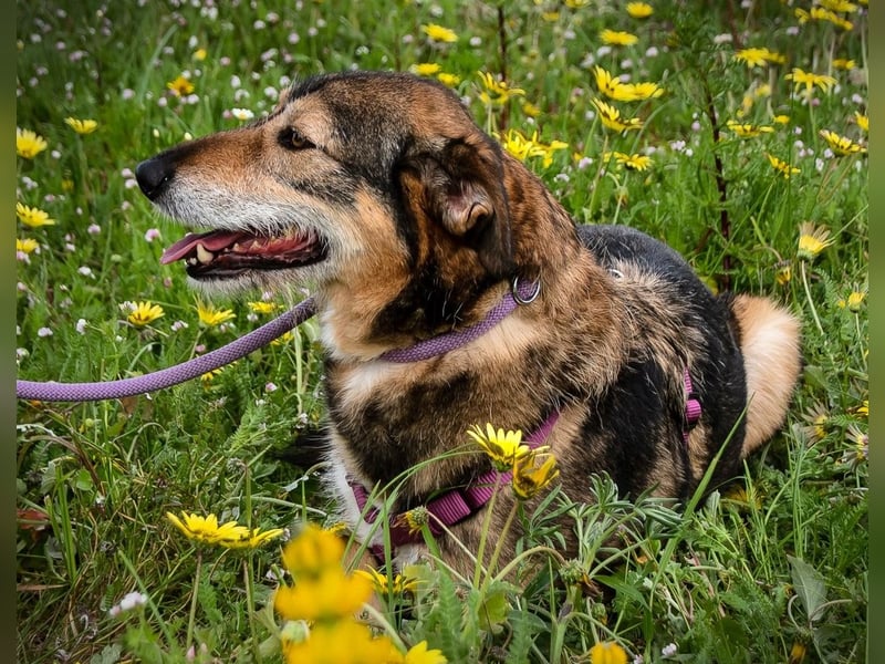 Emily – sucht nach Geborgenheit