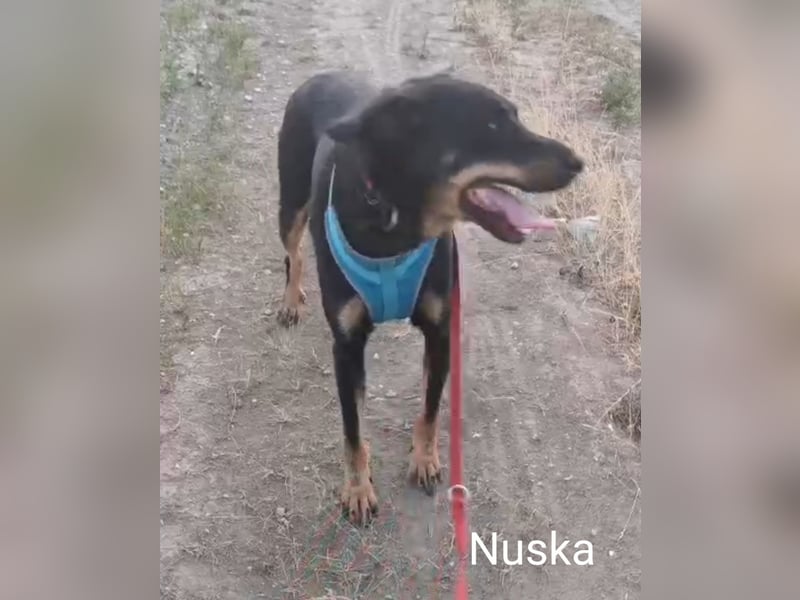 "Zwei wie Pech & Unglück" Nuska und Zirna