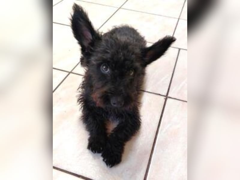 Update Lara: reserviert