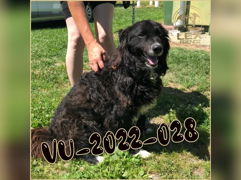 VU-2022-028 hofft auf Rettung