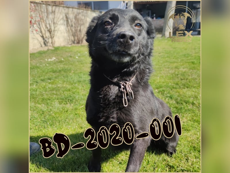 BD-2020-001 möchte hier nicht alt werden