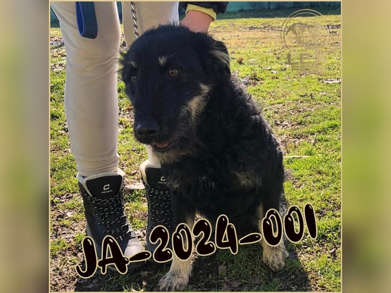 JA-2024-001 hofft auf Rettung
