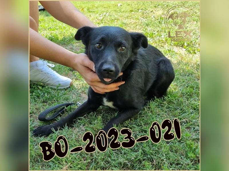 BO-2023-021 hofft auf Rettung