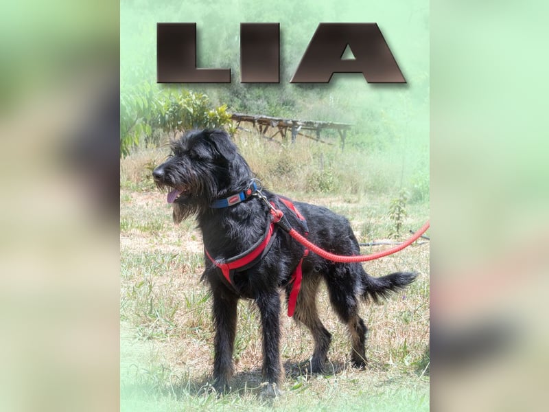 Lia - eine süße Maus