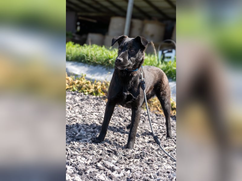 Hilde - Familienanschluss gesucht