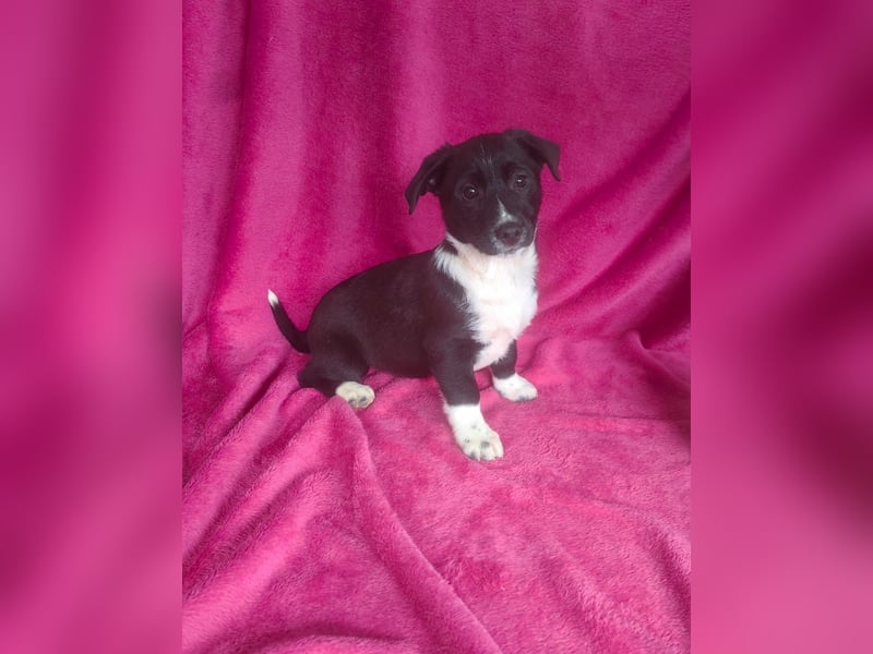 Zara ein tolles Mädchen