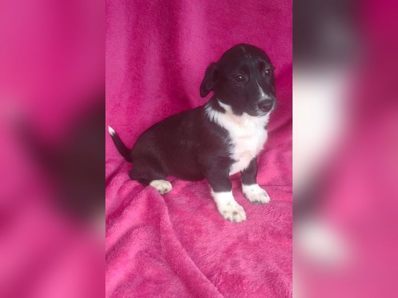 Zara ein tolles Mädchen