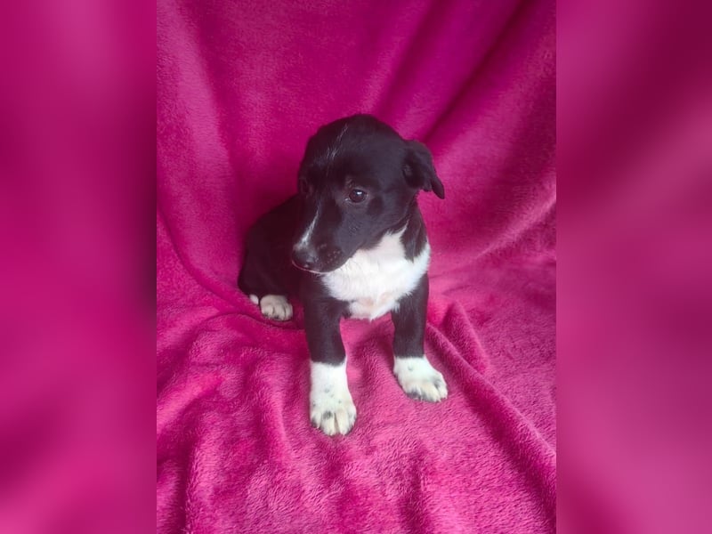 Zara ein tolles Mädchen