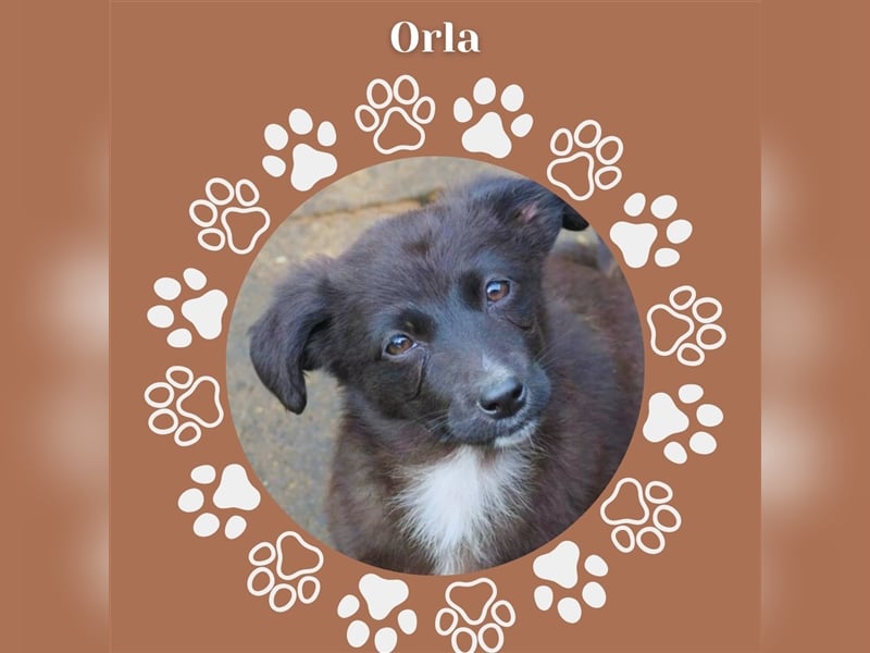 Orla möchte die Welt kennenlernen