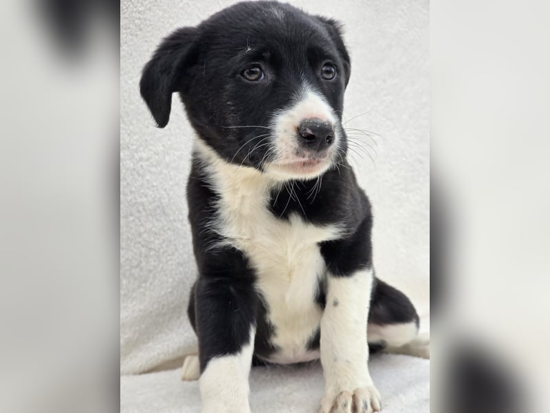 Nina, eine von 7 wundervollen Zwergen