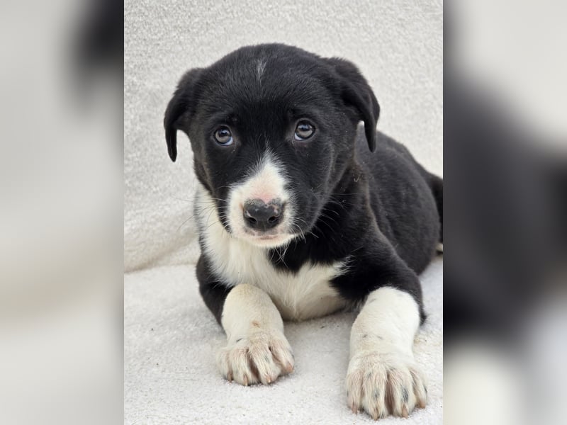 Nina, eine von 7 wundervollen Zwergen