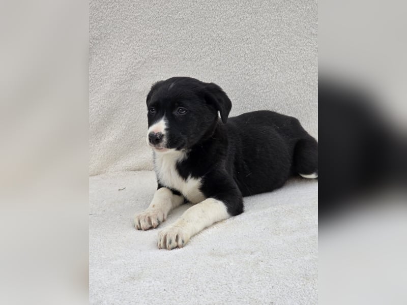 Nina, eine von 7 wundervollen Zwergen
