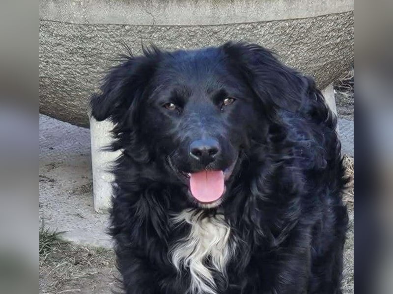 Coco von kettenlos