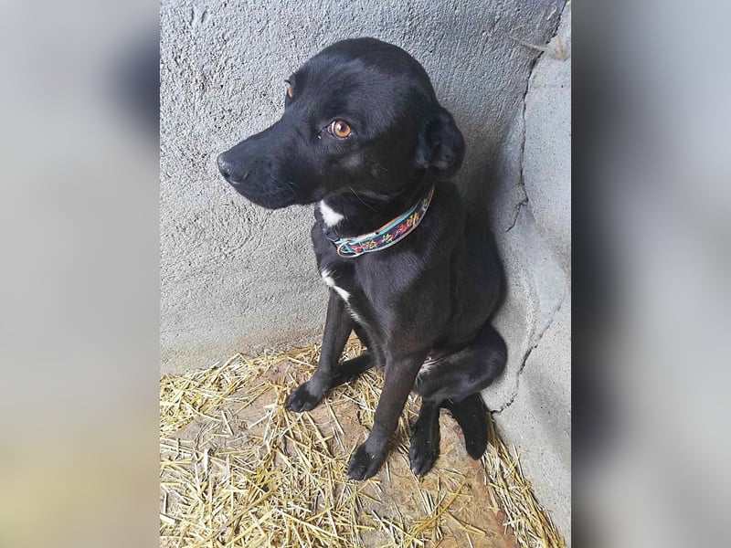 Bella, sehr menschenbezogen