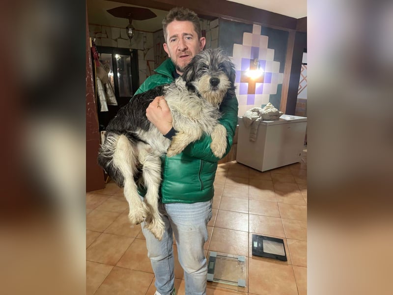 Anuk sucht liebevolles zu Hause