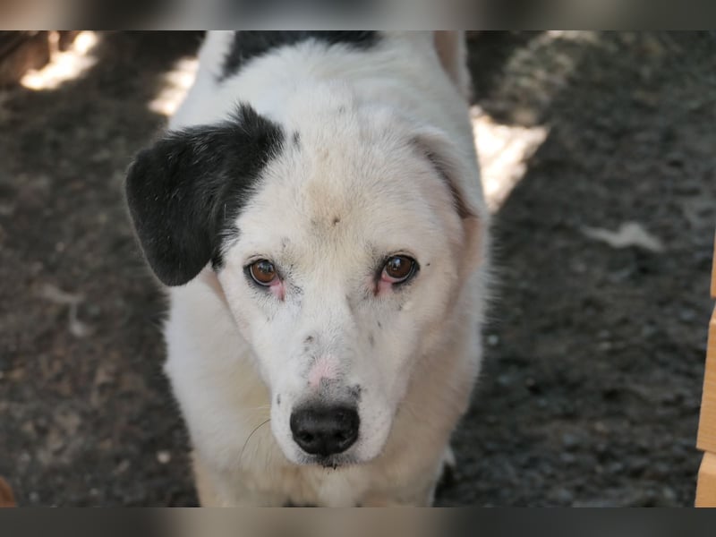 Seniorin CARLA sucht Geborgenheit