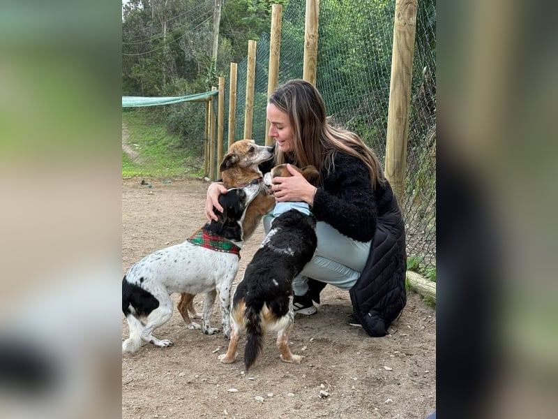 LASSIE-unkompliziert, fröhlich, mit einem Lächeln im Gesicht sucht er liebevolles "Für-immer-Zuhause
