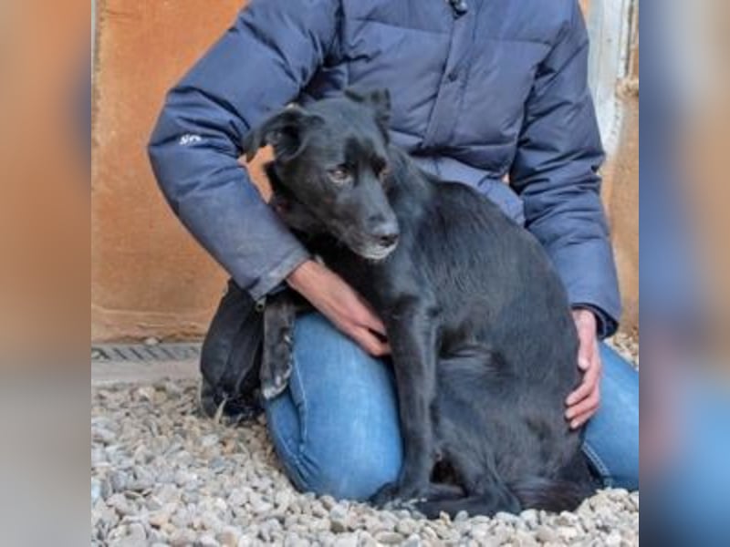 LUNA-lackschwarze Beauty ist bereit für ihre Familie!