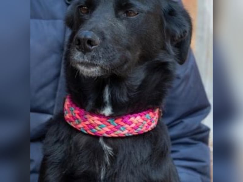 LUNA-lackschwarze Beauty ist bereit für ihre Familie!
