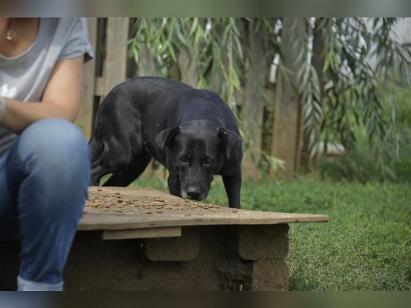 Emese sucht die Nadel im Heuhaufen