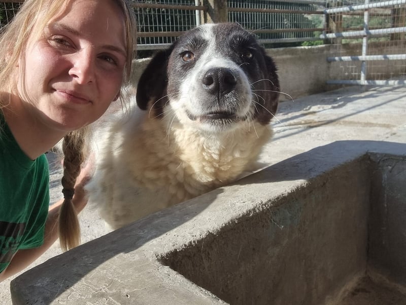 Klara – Sanfte Seele, mit viel Liebe, sucht ihr Zuhause fürs Leben!