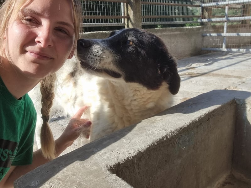Klara – Sanfte Seele, mit viel Liebe, sucht ihr Zuhause fürs Leben!