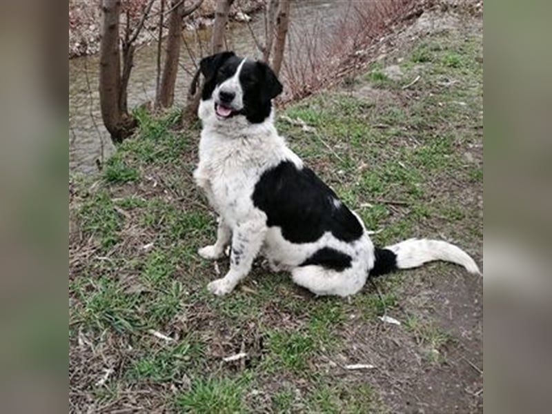 LARAH ❤  wartet in 26931 Elsfleth auf Dich