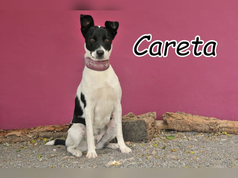 Wollen Sie Careta glücklich machen?