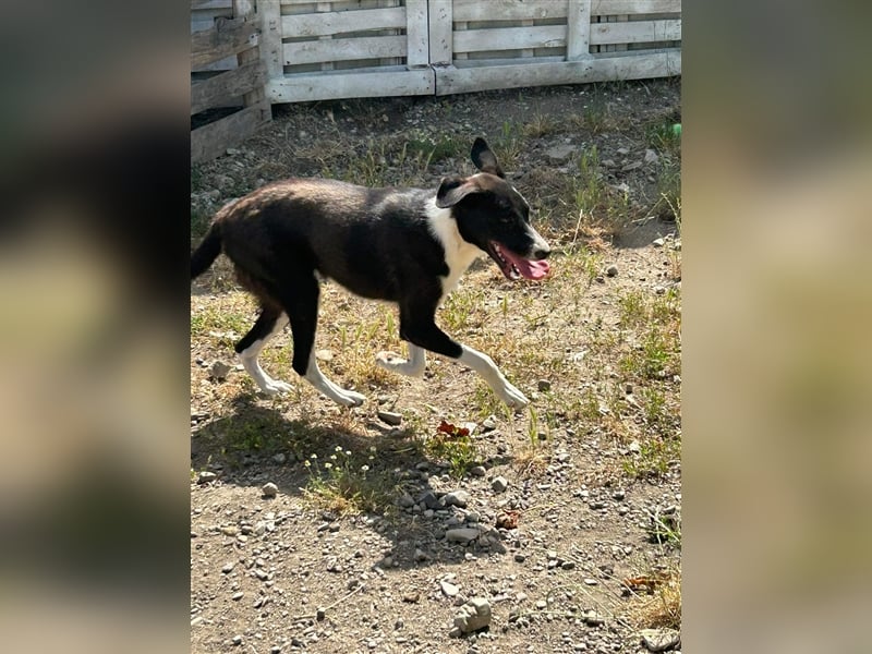 Zauberhafte Kayla ist bereit!