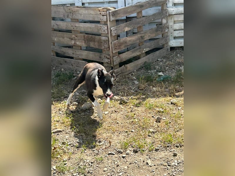 Zauberhafte Kayla ist bereit!