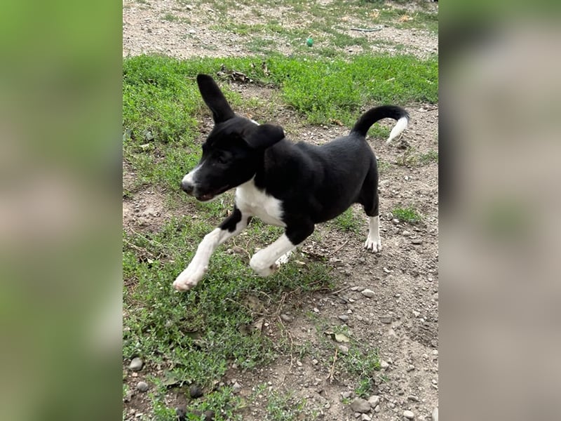 Zauberhafte Kayla ist bereit!