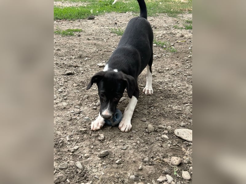 Zauberhafte Kayla ist bereit!
