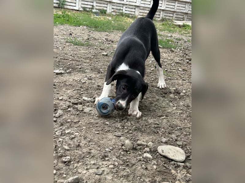 Zauberhafte Kayla ist bereit!