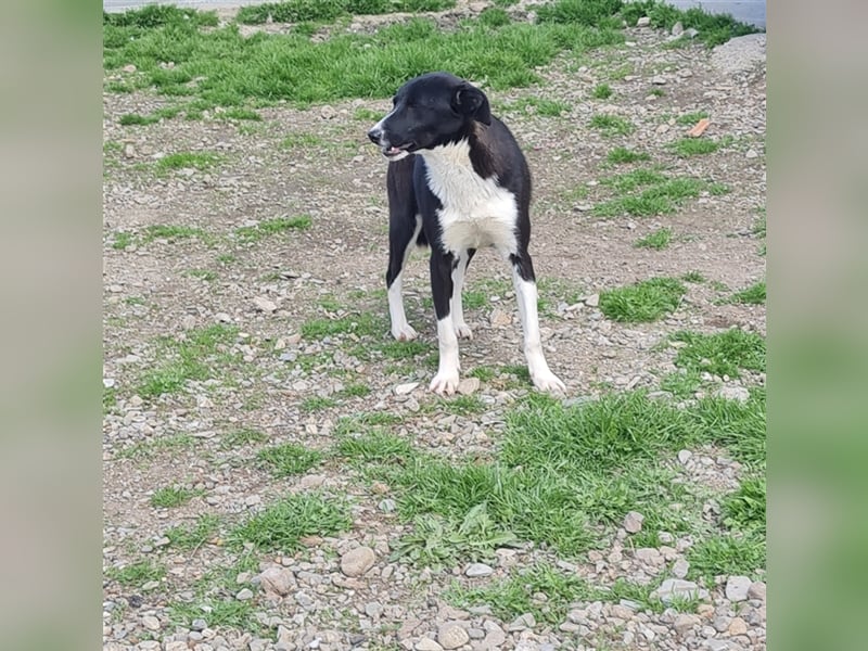 Zauberhafte Kayla ist bereit!