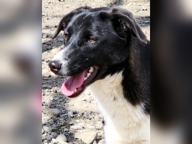Zauberhafte Kayla ist bereit!