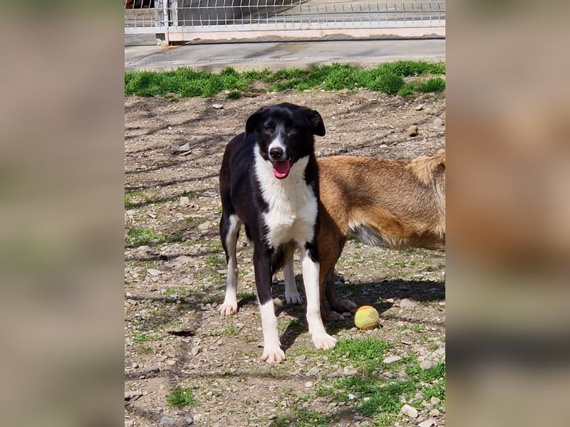 Zauberhafte Kayla ist bereit!