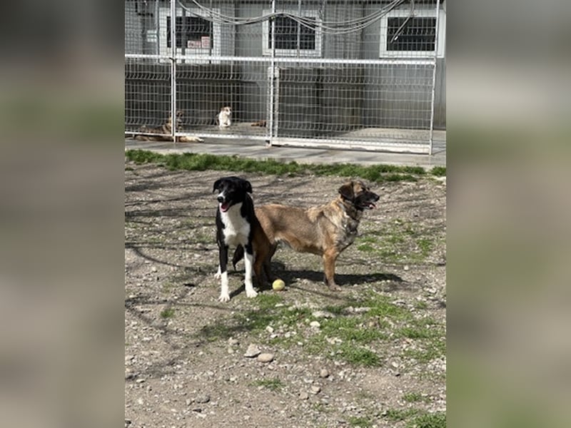 Zauberhafte Kayla ist bereit!