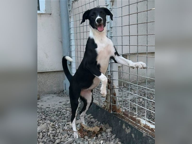 Zauberhafte Kayla ist bereit!