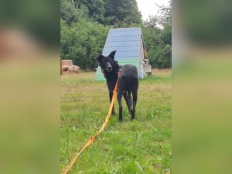 Jua sucht ihre Herzensmenschen