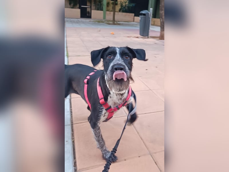Frida